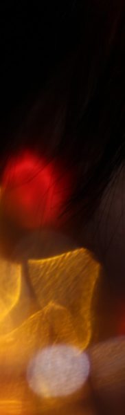 IMG_2293